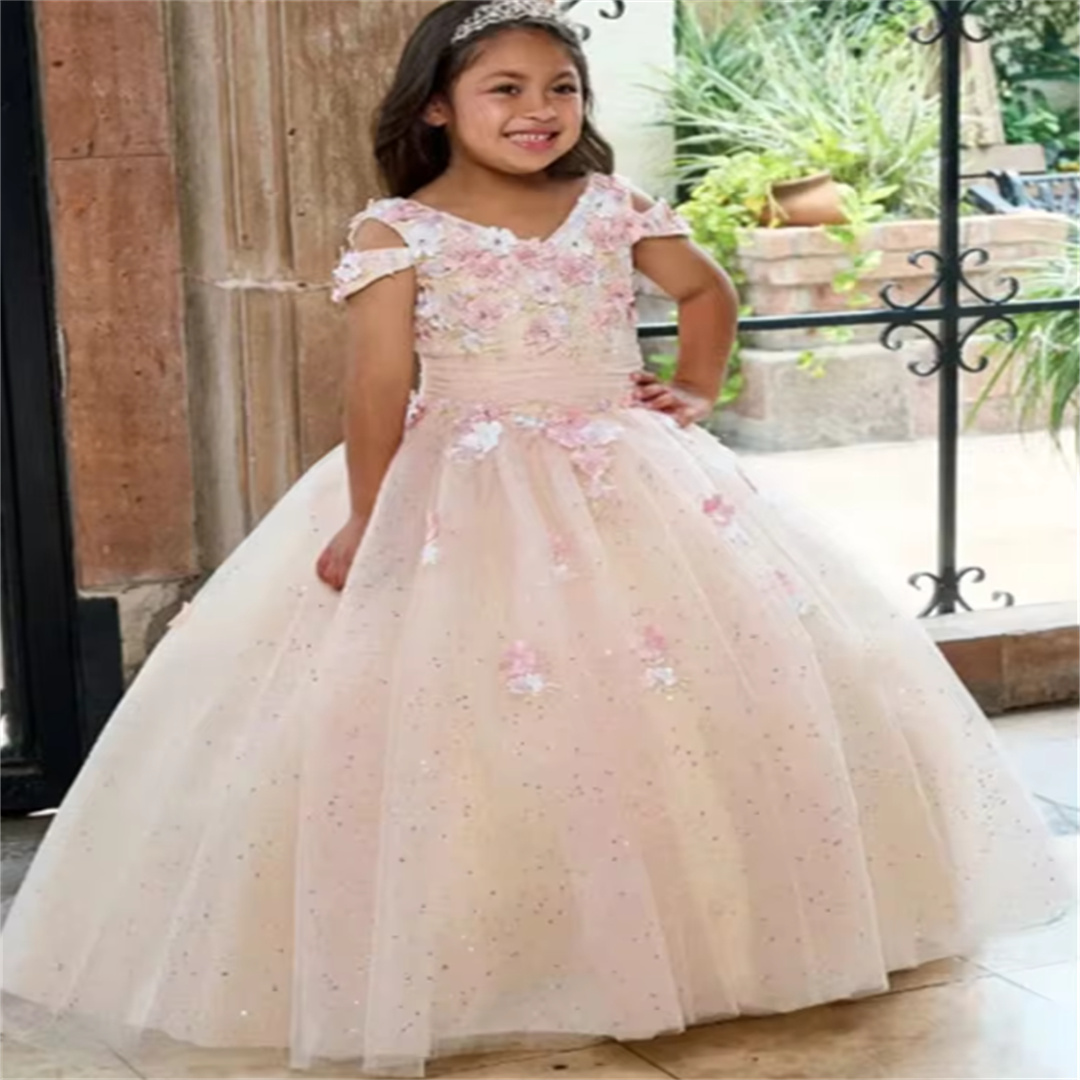Customized Luxury Flower Girl  - огляд і ціна Birthday Sash Glitter