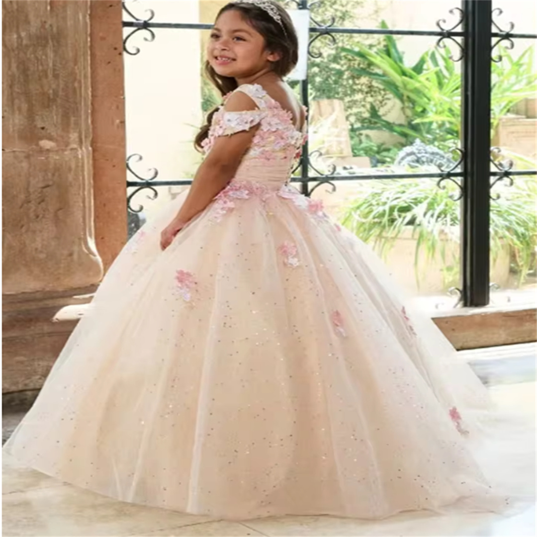 Customized Luxury Flower Girl  - огляд і ціна Birthday Sash Glitter